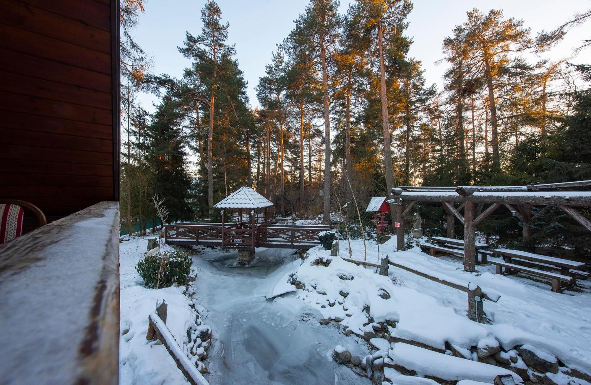 Wellness Vila Astra Stara Lesna Exterior photo